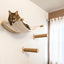 Cat Tree Tower Climbing Shelves Wall-Mounted Cat Hammock And Bed Easy-cleaning and Durable Ladder with Felt for Playing&Exercise