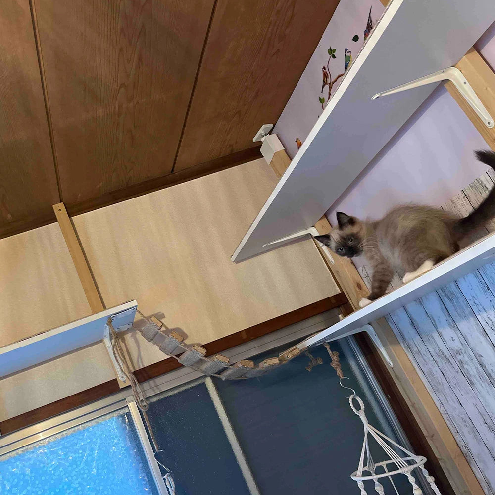 Cat Wall Cat Tree Wooden Climbing Shelves Cat Hammock Bridge with Sisal Ladder and Platform for Kitten Pet Furniture Playground