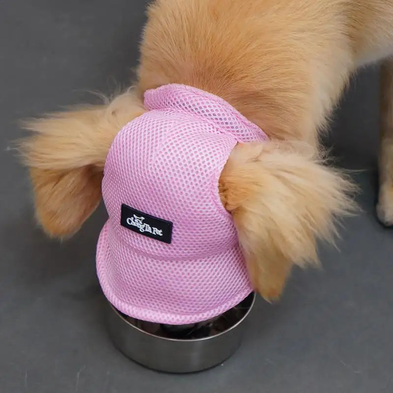 Pet Hat Dog Baseball Hat Sun Visor Hat With Ear Holes Dog Outdoor Sport Sun Protection Baseball Hat For Small To Large Dogs