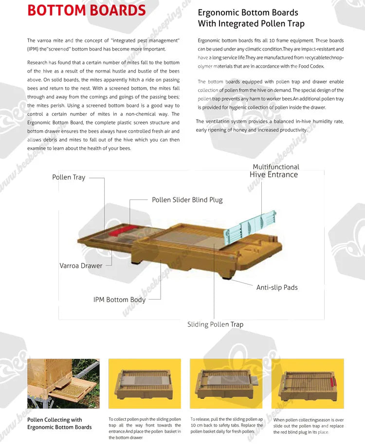Heat Preservation Plastic Thermo Honey Bee Hive Langstroth 1 Layer 10 Frame Multifunction Bee Box Color Beehive House Apiculture