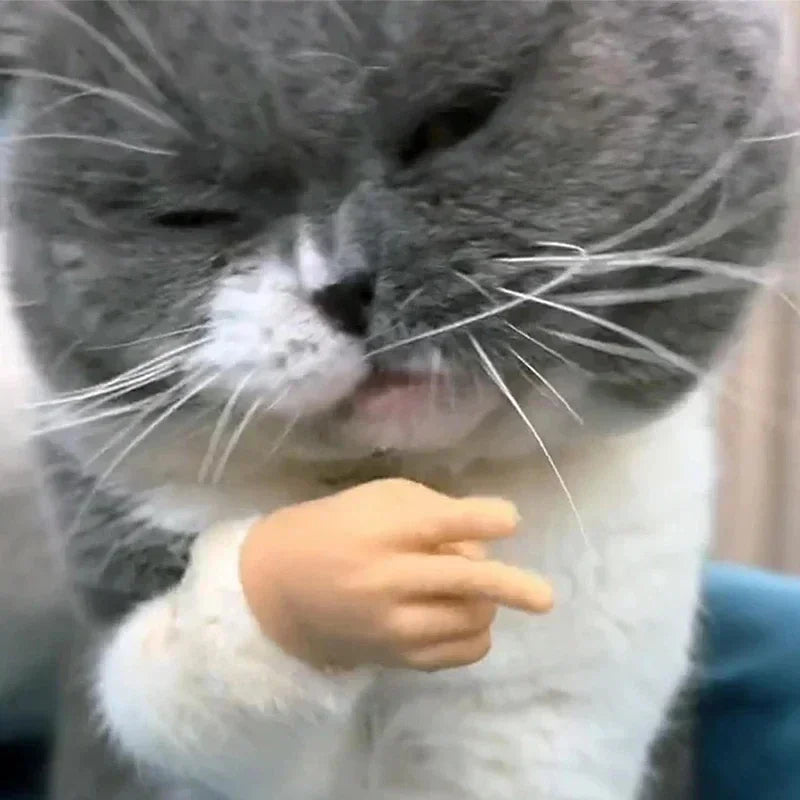 Cat Novelty Toys Teasing Cat TPR Soft Finger Gloves Funny Mini Hands Creative Finger Toys Fake Hand Cat Interactive Toys