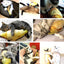 Catnip Fish Teasing Cat Toy Teeth Grinding Kitten Self Fun Relief Doll Doll Puppy Pet Toy