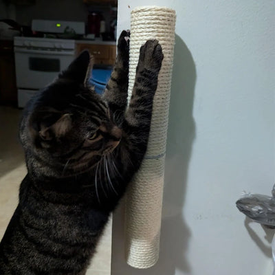 Wall Mounted Cat Climbing Shelves Scraper for Cat Scratching Post Cat Accessories Tower Tree For Cats Toys Pet Furniture Wooden