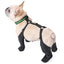 Dog Shoes Waterproof Adjustable Dog Boots Waterproof Breathable Pet Shoes Pets Paws Protector Outdoor Walking Soft Shoes