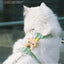 Cartoon Nylon Pet Dog Collar Accessories Anti Break Cat Small Puppy H-Shaped Harness Leash Set Travel Chihuahua Pet Accessories