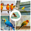 Parrot Bed Warm House Hideout Cushion Bed For Parrot Plush Cushion For Parrots Lovebirds Parakeets And Small And Medium Birds