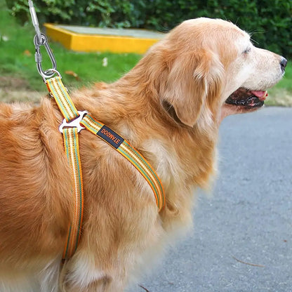 Dog Tie Out Cable Long Steel Wire Dog Leash,Heavy Duty & Durable Dog Chain for Yard,Dog Leads for Large Dogs Up to 150 Lbs