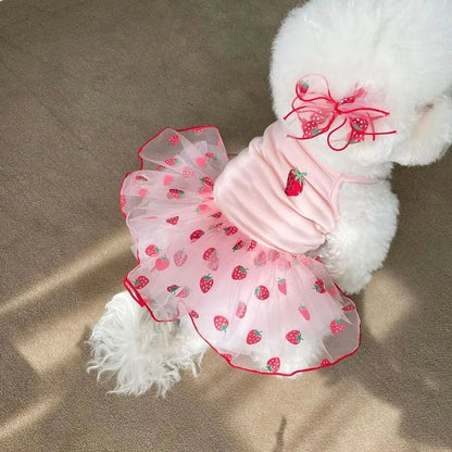 Cute Pet Dog Dress for Small Dogs Thin Puppy Princess Skirt Summer Dog Clothes Chihuahua York Clothing Pet Supplies