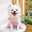Big Bow Pet Wedding Dress with Buckle Luxury Dog Full Dresses for Small Dogs Pomeranian Poodle Puppy Cat Skirt mascotas Clothes