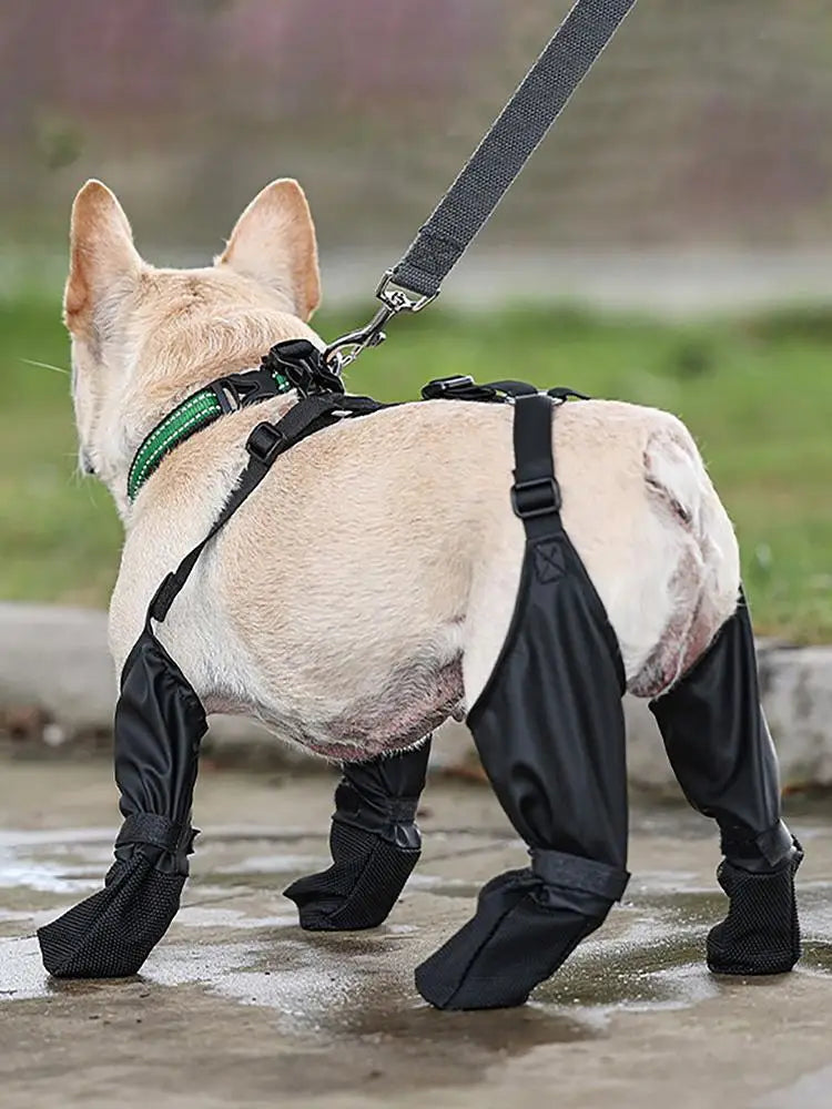 Dog Shoes Waterproof Adjustable Dog Boots Waterproof Breathable Pet Shoes Pets Paws Protector Outdoor Walking Soft Shoes