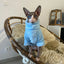 Fashionable Clothes For Cats Sphynx Cat Sweater Kitten Clothing Hound Dog Hoodie Clothes For Sphinx Cat Outfit Pet Jumpsuits