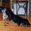Female Dog Panties Adjustable Pet in Heat Menstrual Sanitary Physiological Pants Reusable Diapers for Small Medium Large Dogs
