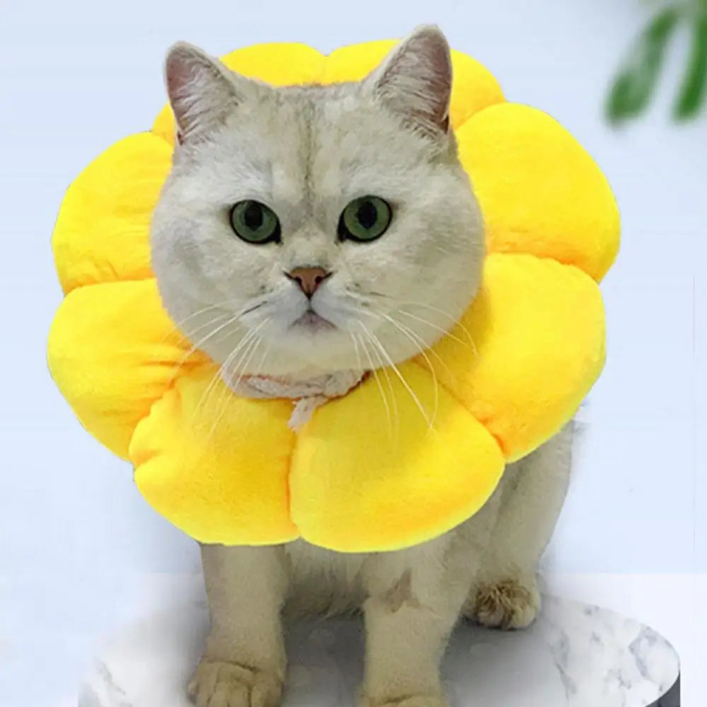 Elizabethan Collar For Cats Adjustable Cotton Sunflower Shape Collar Protective Collar For Small Cats & Dogs Cute Breathable Eli