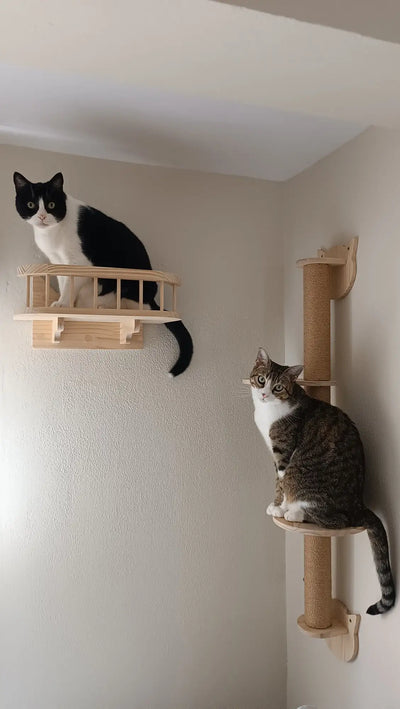 Cat Tree Wall Mounted Cat Shelves Scratching Post for Cat Jumping Platform and Cat Hammock Rope Ladder Wall Wooden Furniture