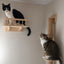 Cat Wall Mounted Wooden Climbing Shelves Cat House and Hammock for Platform and Ladder Turning Channel for Cat Indoor Furniture
