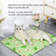 Cats Cooling Beds Accessories Things Cushions Pet Supplies Bed Kitten House Accessory Houses and Habitats Puppy Goods