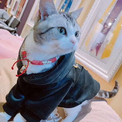 Dog Clothes Dog Accessories  Dog Hoodie Parent-child Wear Spring and Autumn Embroidery Solid Color One Color Eight Sizes