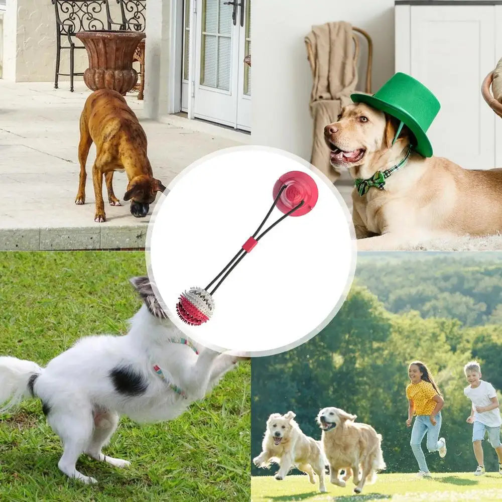 Chew Toys For Dogs Soft Chew Toys Slow Feeder Bite-Resistant Pet Toys Dog Teeth Cleaning Ball With Suction Cup For Living Rooms