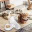 Cat Dog Water Dispenser Cat Feeder Water Bowl Container Automatic Snail Shape Drinking Fountain Cat Feeder Water Bowl Feeder