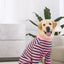 Full Cover Dog Jumpsuit Dog Recovery Suit After Surgery Anti Shedding Bodysuit Pet Claming Pajamas for Small Medium Large Dogs