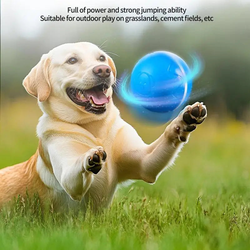 Automatic Rolling Ball Toys Safe Dog Toy Balls Bite Resistant Dog Toys Puppy Toys Fun Interactive Play for Pet Dog Puppy
