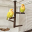 Natural Apple Tree Wood Bird Branch Stand Perches Pet Parakeet Budgie Hanging Play Toy Bird Cage Parrot Wooden Desk Holder