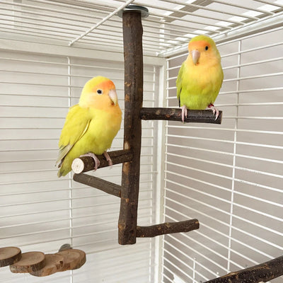 Natural Apple Tree Wood Bird Branch Stand Perches Pet Parakeet Budgie Hanging Play Toy Bird Cage Parrot Wooden Desk Holder