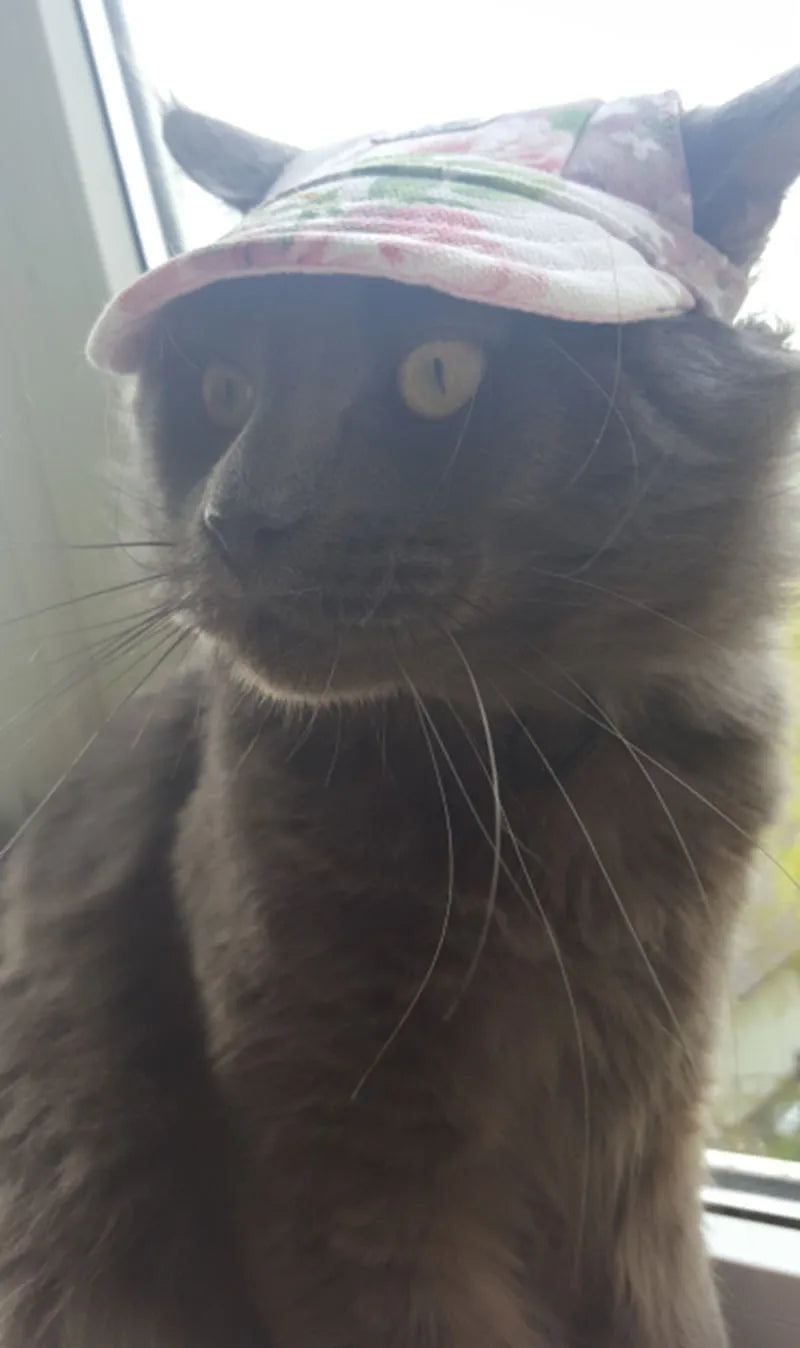 Pet Dog Hat Accessories Dogs Baseball Cap Sport Puppy Grooming Dress Up Hat Pet Dog Outdoor Hat Headwear Casual Cat Dog with Hat