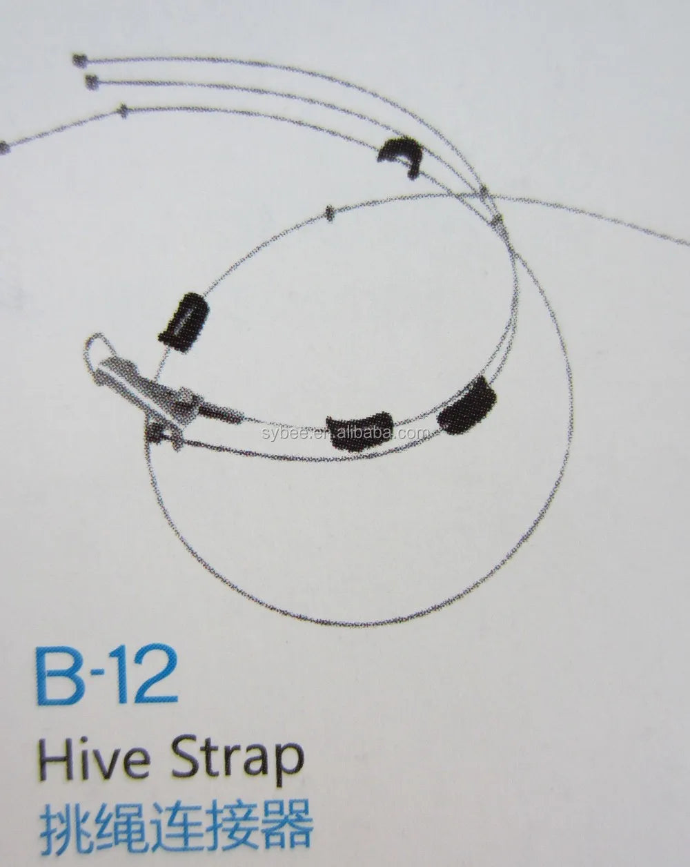 SHENGYUAN best selling Beehive and Accessories Australian Hive