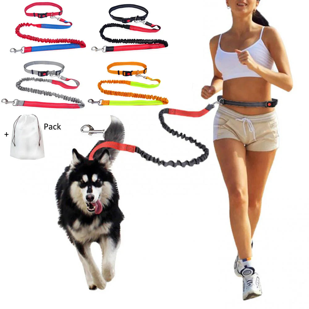 Dog Leash Supplies Free Hands Classic Harness Collar Big Pet Accessories Small Set Dogs Large Suit