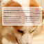 Smart Dog Toy Ball Automatic Electronic Interactive Training Pet Toy Gravitational Moving Ball Rechargeable Active Rolling Ball