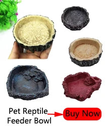 Aquairum Reptile Clip Transparent Tongs Lizards Tortoise Spider Reptile Bread Worms Cleaning Tool Pet Raising Feeding Accessory
