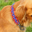 130cm Pet Dog Leash Double Row Adjustable Pet Collar Nylon Leash Double Colors Canvas For Medium Large Dogs Accessoires Hot-Sale