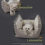 Pet car seat car travel pet sofa seat cushion four seasons general pet supplies dog kennel wholesale