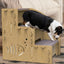 Dog Stairs For High Beds 3-Step Wooden Pet Ladder For Sofa Climbing Kitten Nonslip Balanced Dog Indoor Ramp Suitable For Pets