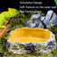 Pet Reptile Feeder Bowl Resin Aquarium Basin Food Water Pot Reptile Turtle Tortoise Scorpion Lizard Crabs Feeding Supplies New
