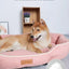 Pet Beds for Dogs Home Dog Bed Large Dog Kennel Accessories Washable Big Bedd Supplies Plush Mat Accessoires Underpad Bedding
