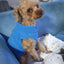 Dog Fleece Vest Chihuahua Winter Clothing For Small Dogs Warm Dachshund Dog Coat For Medium Bulldog Pitbull Maltese Dogs Jumpers