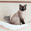 Cat Tree Tower Wooden Cat Climbing Shelves Cat Hammock Safe Perch Detachable & Easy-cleaning Wall Mounted Ladders Pet Furniture