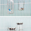Glass Fine Needle Striker Water Bottle Anti-bite Chinchilla SquirrelTwig Rat Hedgehog Glider Hamster Water Feeder Dispenser