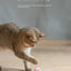 Funny Cat Ball Pet Toy Ball Gravity Rolling Ball Cat Self-Happiness Ball Bite-resistant and Boredom Relieving Automatic Rolling