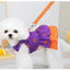 Luxury Bowknot Dog Dress for Small Dogs Summer Yorkie Chihuahua Girl Puppy Dog Clothes Princess Harness Dress and Leash Set