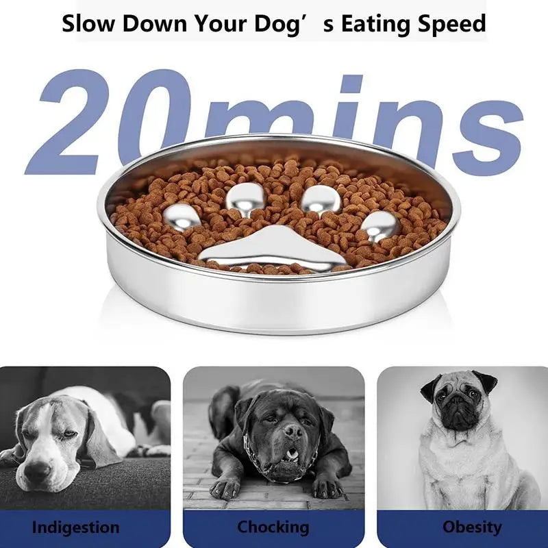 Dog Food Bowl Anti Rust Cat Food Bowl Oven Fridge Safe Pet food Container Dish for Small Medium Size Dogs for Indoor Outdoor