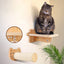High-Quality Wall-Mounted Cat Scratching Furniture  With Cat Climbing Perches Hammock Wall Steps For Sleeping And Playing
