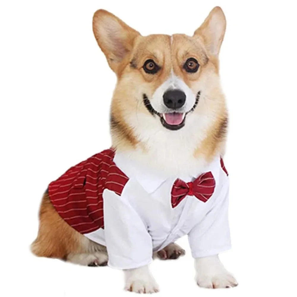 Dog Tuxedo Formal Dog Suit Shirt with Bow Tie Pet Stripe Suit for Wedding Birthday Party Puppy Prince Costume for French Bulldog