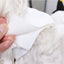Halloween Costume for Dogs Witch Hat Pumpkin White Ghost Costume Fancy Dress for Dogs Cats Pet Outfits for Halloween Cosplay