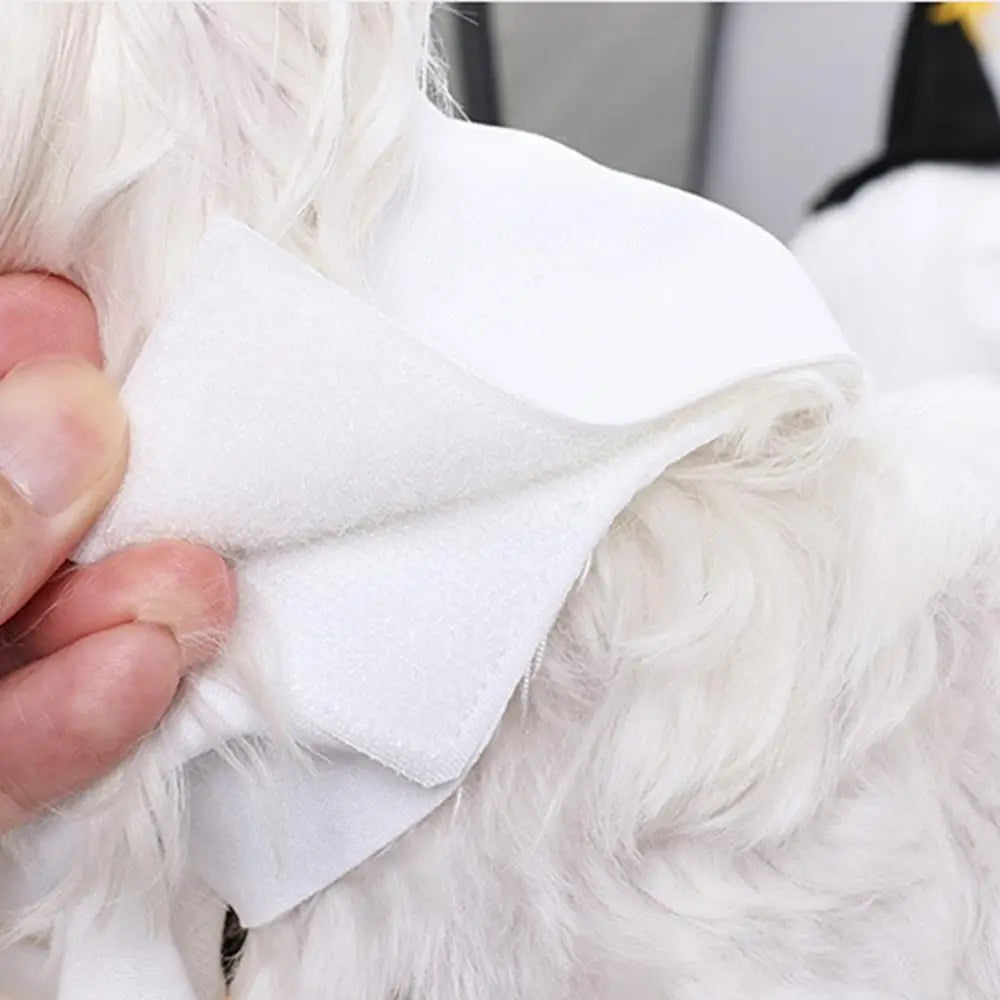 Halloween Costume for Dogs Witch Hat Pumpkin White Ghost Costume Fancy Dress for Dogs Cats Pet Outfits for Halloween Cosplay