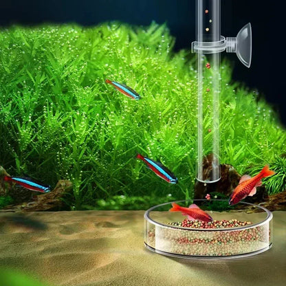 Acrylic Aquarium Feeder Tube Dish Transparent Fish Tank Shrimp Snail Shrimp Food Feeder Bowl Aquarium Feeding Accessories