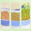 Cat Grass Growing Kit Whale Shape Cat Grass Pot Layered Design Soillness Hydroponic Sprout Tray Hollow Planting Box for Cats