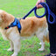 Nylon Dog Leash